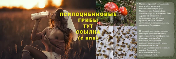 амф Навашино