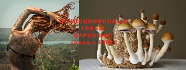 эйфоретик Зерноград