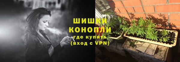 ALPHA PVP Каменка
