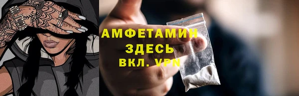 сатива Инсар