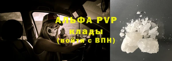 сатива Инсар