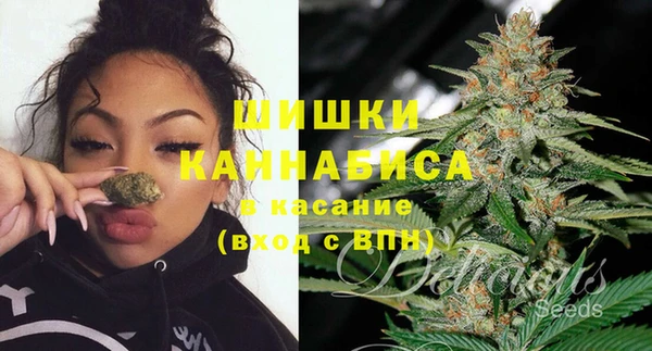ешки Инта