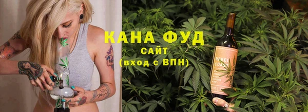 ALPHA PVP Каменка
