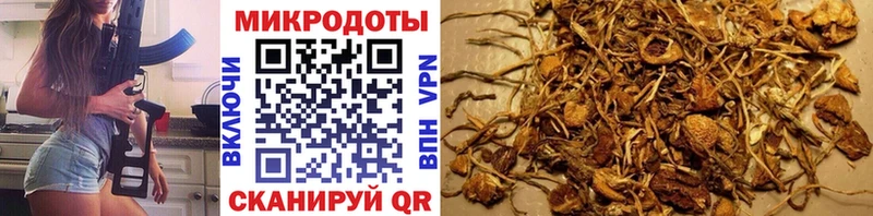 сколько стоит  Суровикино  Галлюциногенные грибы Psilocybine cubensis 